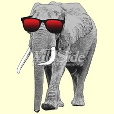 Elephant w/ Sun Glasses T