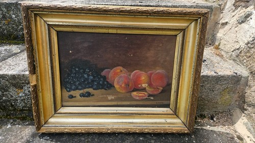 Antique oil canvas still - antique,