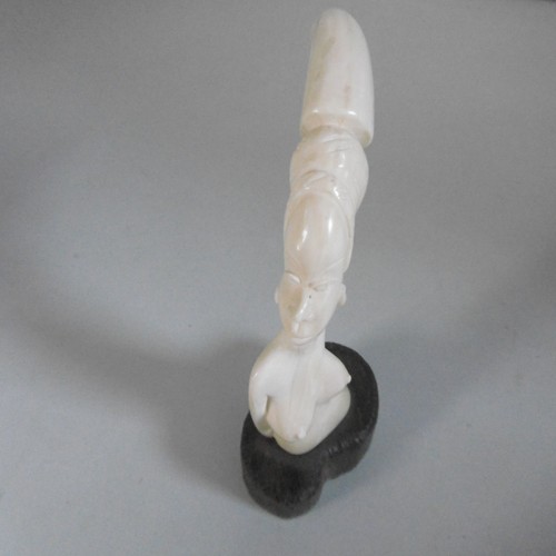 Dent phacochere femme - de, seins