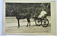 carte photo élégente sur