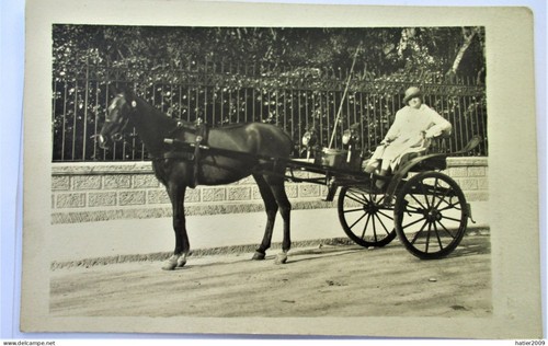 Carte photo élégente sur - carte,