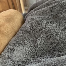 Ancienne Tasse Royal Albert