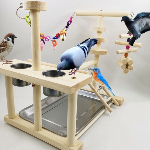 Bois perroquet playstand gym - perroquet,