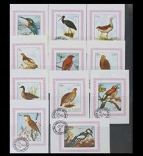 UAE UNITED ARAB EMIRATES