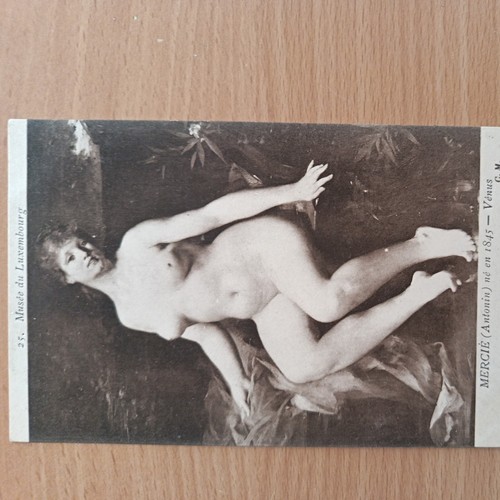 Artistique venus de - nu,