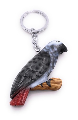 Perroquet graupapagei oiseau - perroquet,