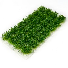 Statiques Herbe Toufts, 28