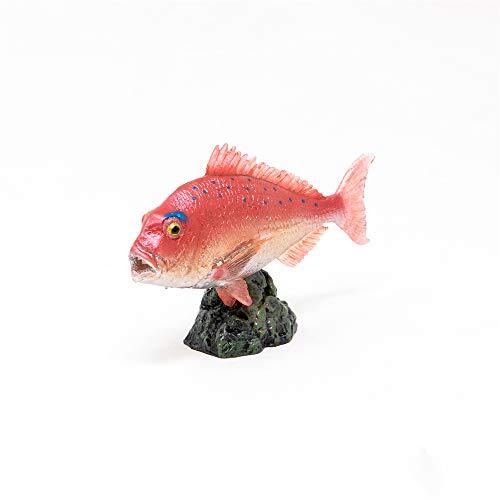204 madai mini - madai,