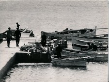 LE LAVANDOU c. 1950 - Ponton