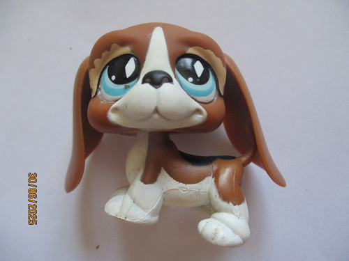 Petshop chien basset hound - basset,