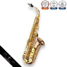 YANAGISAWA A-WO20 Elite Professional Alto Saxophone Bronze Brass JP AWO20 Rare