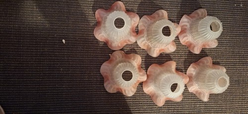 Tulipes globes pour lampe - 6,