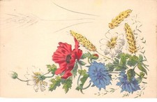 Illustrateur - n°64603 - Coquelicots, marguerites, blé, bleuet