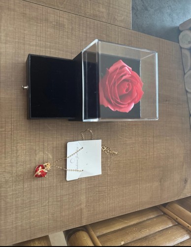 Rose éternelle avec collier - avec,
