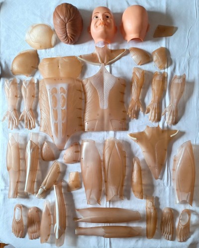 Lot pièces muscles la - lot, 37