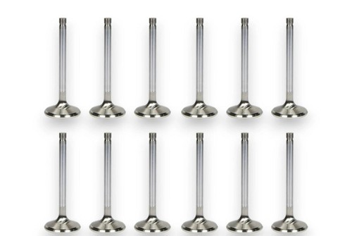 12x nouvelles soupapes - nouvelles,