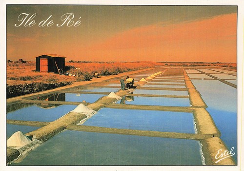 Ile marais salant - ile,