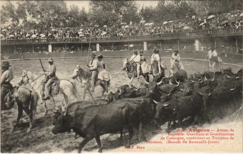 Cpa avignon arenes - cpa, de