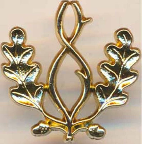 Insigne bonnet police - de,