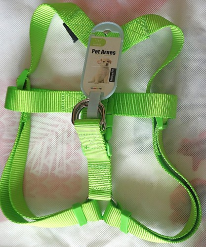 Harnais fluo avec sangle - harnais,