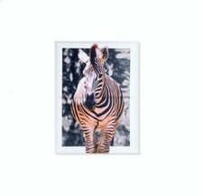 Cadre tableau toile Zèbre -