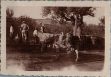 Sicile, Agrigente, Ane porteur d'eau près d'une fontaine, Tirage vinta