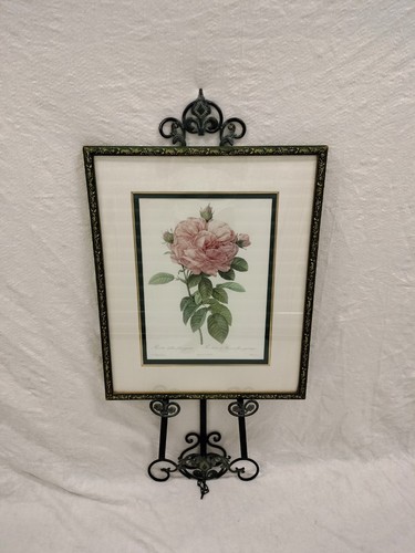 Rosa Gallica ( Flore