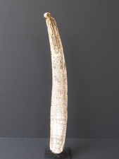 Grand Calendrier Batak, Sumatra Indonésie