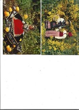 2 CARTES  POSTALES COTE D AZUR  SAVOIE