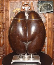 Gigantic Coco de Mer, Seychelles, mounted in French Solid silver with two rubies