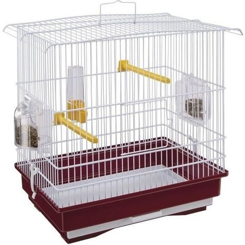 Giusy cage pour - giusy,