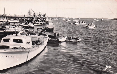 Aiguillon sur mer peche - 85, l