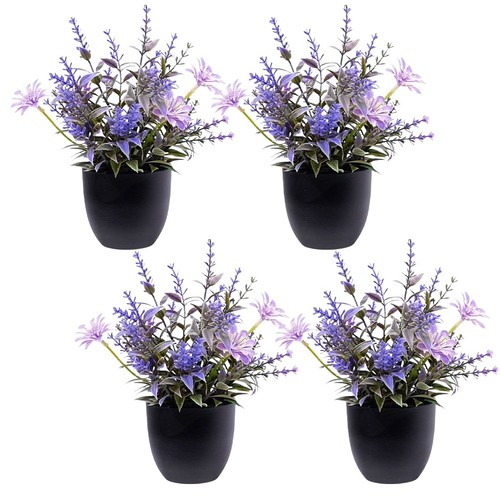 Fausse plantes - fausse,