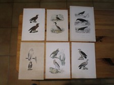 Lot de 6 gravures originales