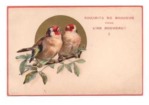 Oiseaux couple de - .,