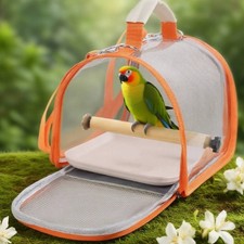 Porte-Oiseaux Transparent