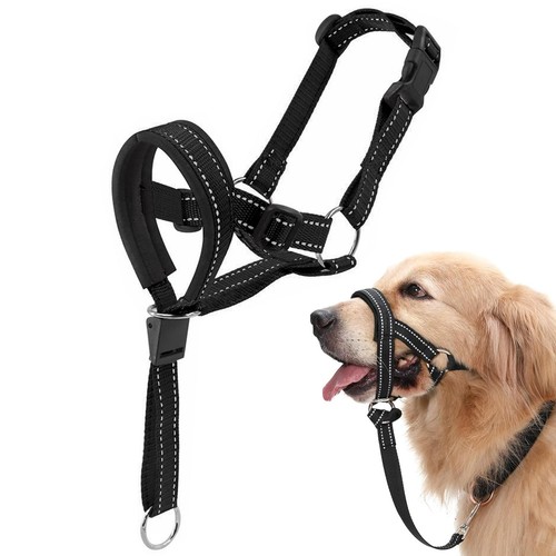 Licol chien harnais - licol, chien,