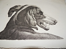 Gravure du 19ème siècle