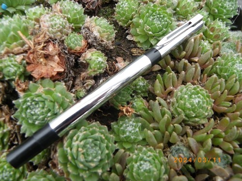 Stylo roller waterman - *,