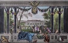 Estampe Château de Saint