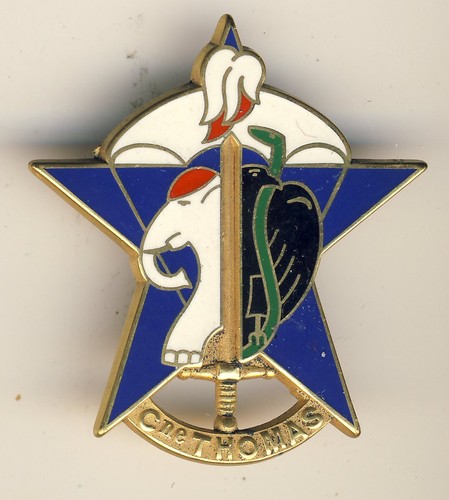 Insigne corniche militaire cne - militaire,