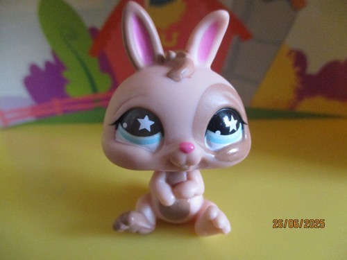 Petshop lapin nain - nain, #827