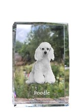 Caniche - Cristal Avec Einem