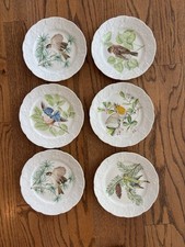 Set Of 6 Lierre Sauvage  Bird