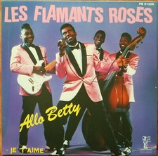 Les flamants roses allo betty - flamants,