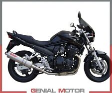 Pot d'Echappement GPR TRIOVAL