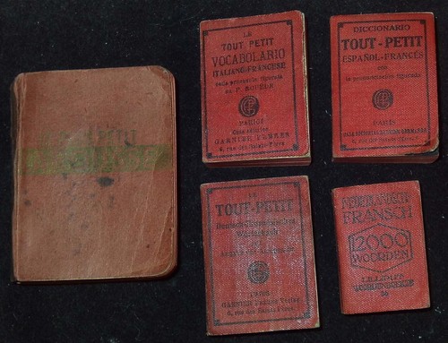 Lot mini dictionnaires - 5,