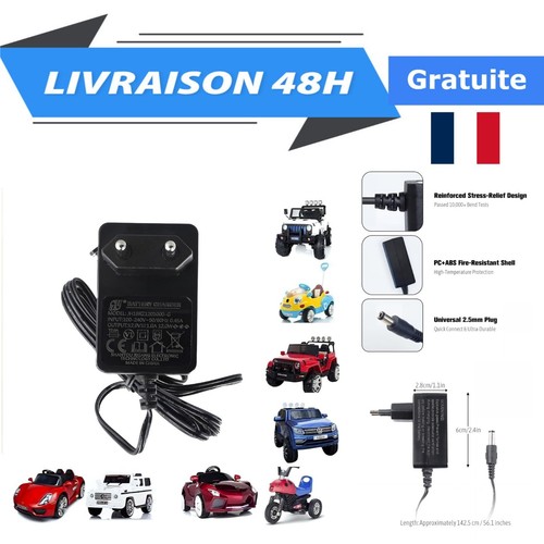 Chargeur universel 12v - universel,