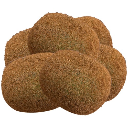 Pcs fruits factices - 6,