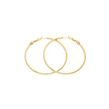 Boucles d’Oreilles - Femme -